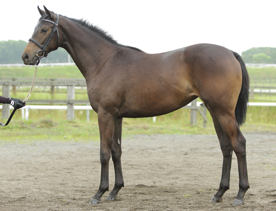 「ワンセント・マゼンタ」:約1,000万ドルで落札された希少な切手